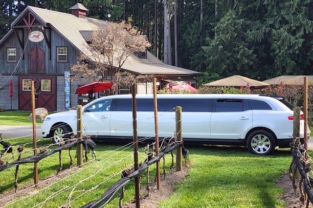 Limo at Spoiled Dog Winery